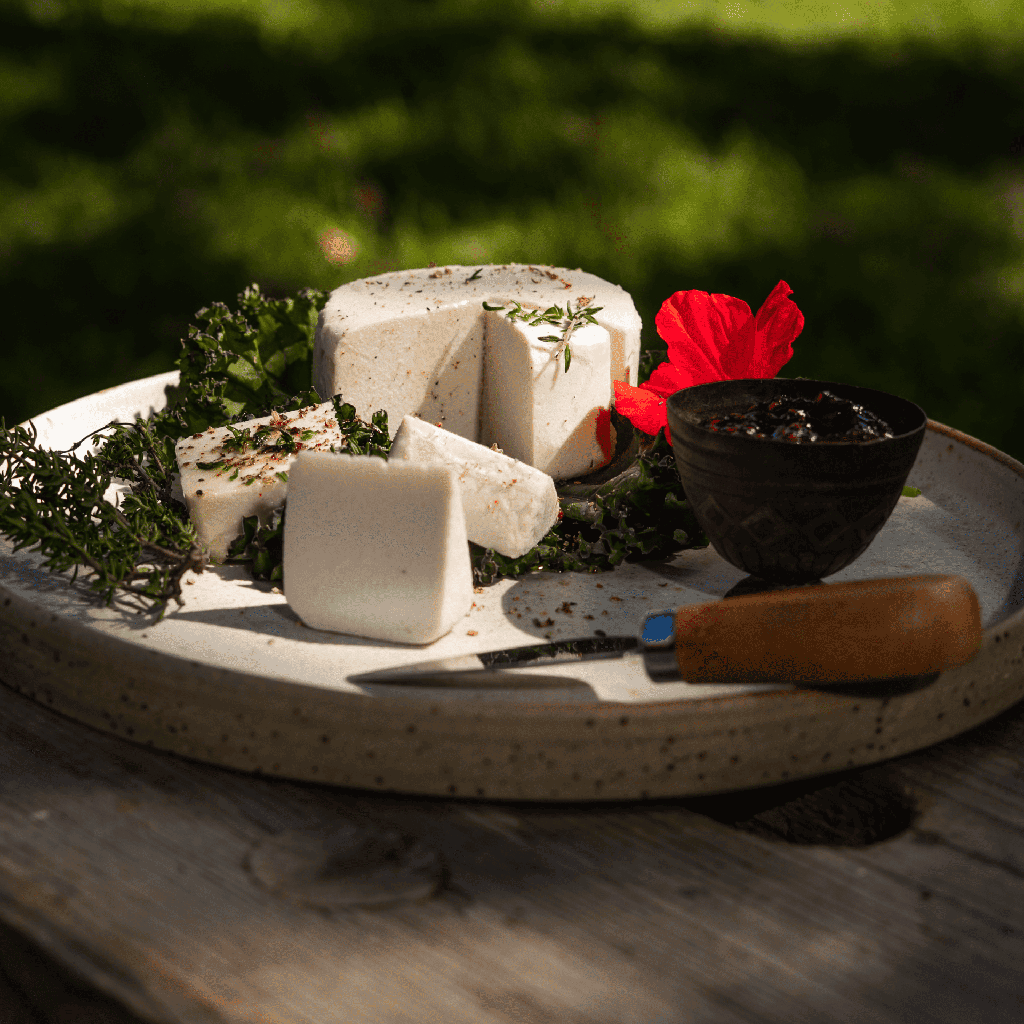 MANDELA - Bio fermentiran mandljev kolut 150 g